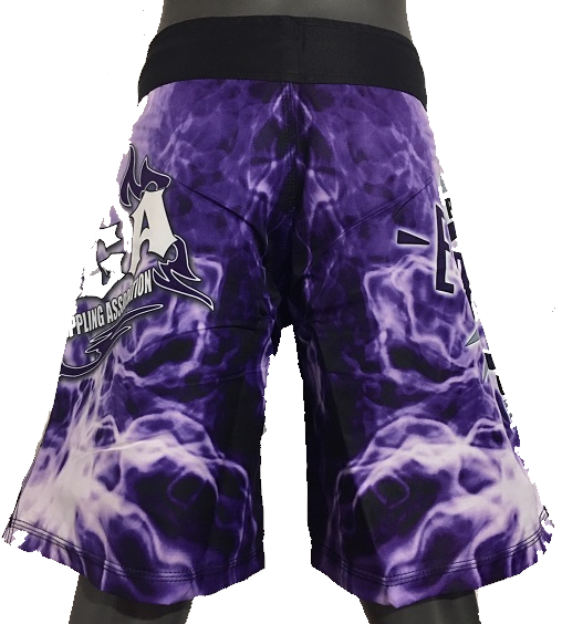 NAGA PURPLE SMOKE BOARD SHORTS